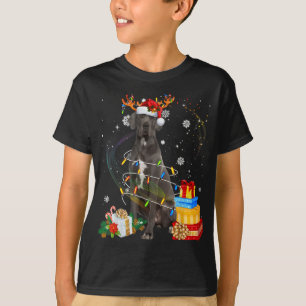 Great Dane Rentier Weihnachtslicht Funny Dog Xma T-Shirt