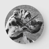 GREAT DANE