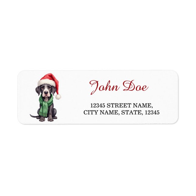 Great Dane Santa Hat Christmas Return Address (Vorne)