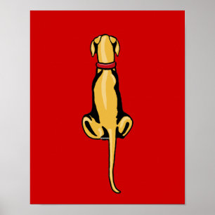 Great Dane Sit Fawn UC Poster
