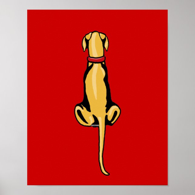 Great Dane Sit Fawn UC Poster (Vorne)