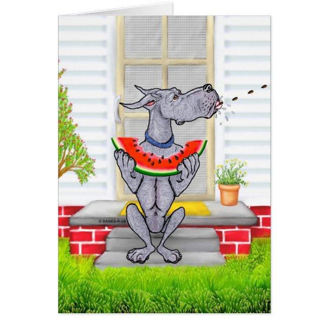 Great Dane SPIT Blue (Vorne)