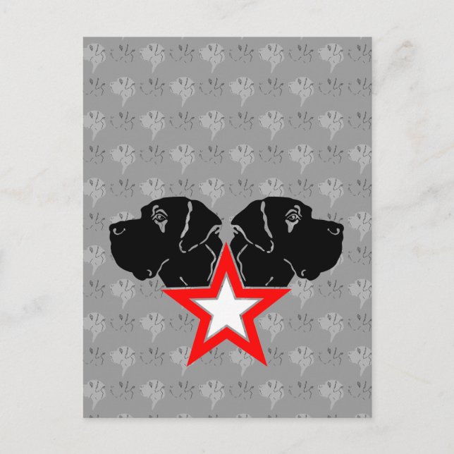 Great Dane Star Head Postkarte (Vorderseite)