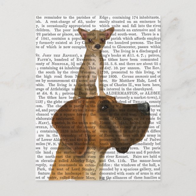 Great Dane und Chihuahua Postkarte (Vorderseite)