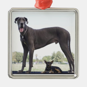 Great dane und kleiner Misch-zucht Hund Ornament Aus Metall