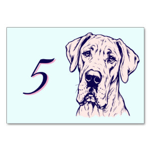 Great Dane Vorderansicht blau pink Tischnummer