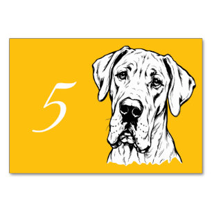 Great Dane Vorderansicht gelb Tischnummer