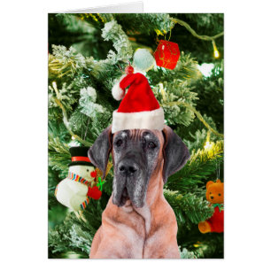 Great Dane w Christmas Tree Geschenkboxen Weihnach
