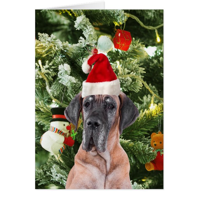 Great Dane w Christmas Tree Geschenkboxen Weihnach (Vorne)