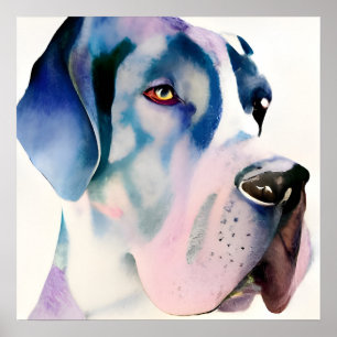 Great Dane Watercolor Poster