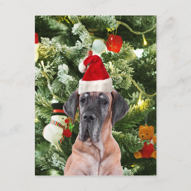 Great Dane Weihnachten (Vorderseite)