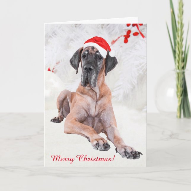 Great Dane Weihnachten (Vorderseite)