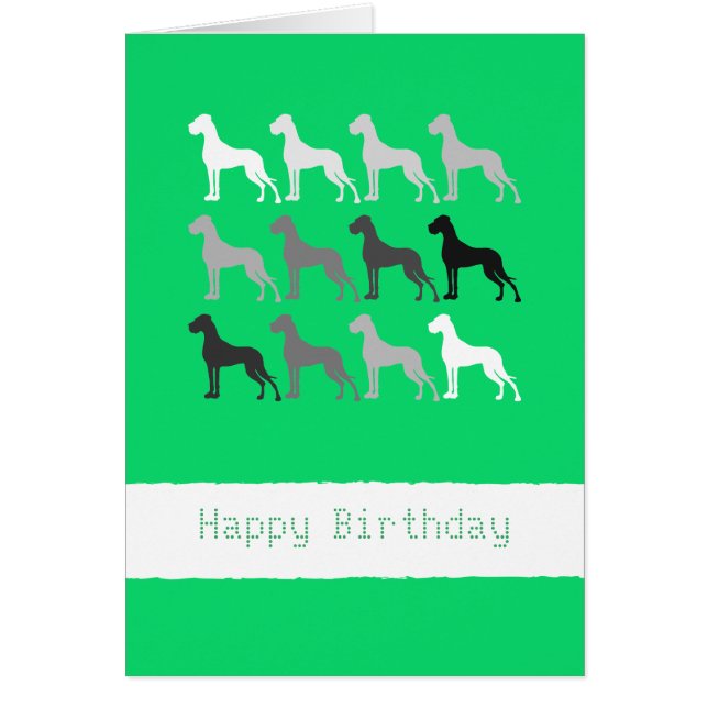 Great Danes Birthday (Vorne)