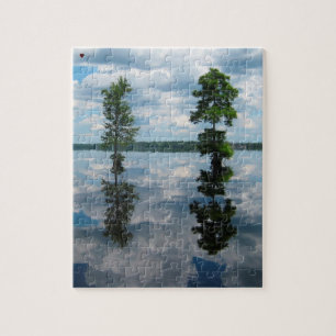 Great Dismal Swamp North Carolina