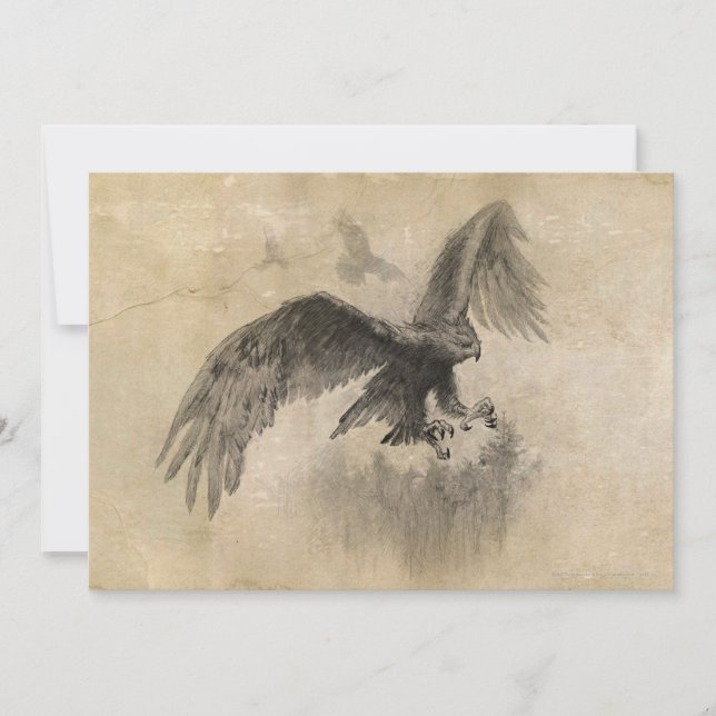 Great Eagles Sketch Einladung (Vorderseite)