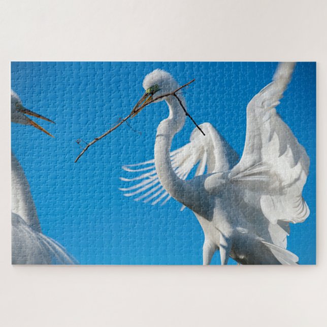 Great Egret (Horizontal)