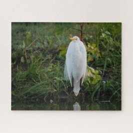 Great Egret