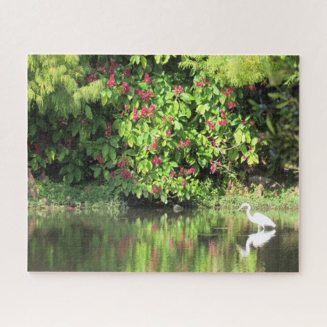Great Egret Fishing - Beautiful Landscape (Horizontal)