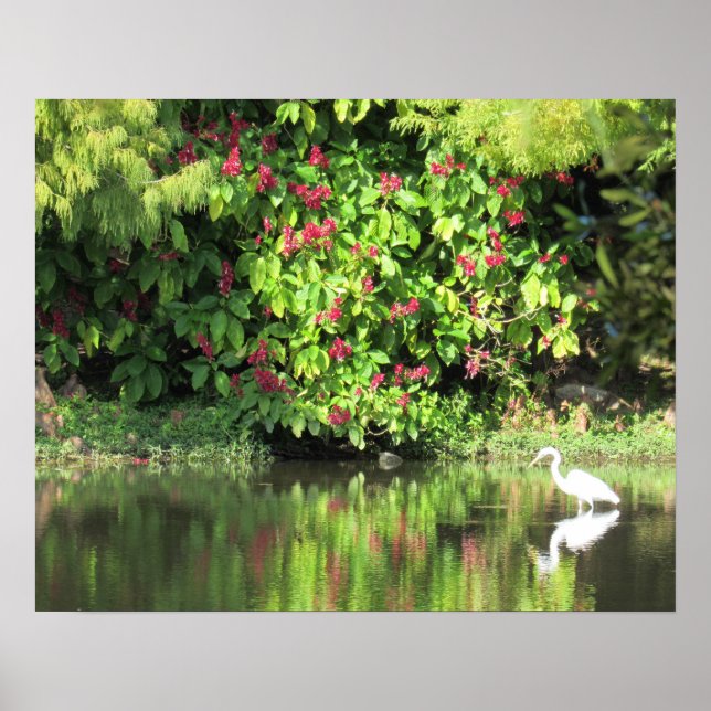 Great Egret Fishing - Beautiful Landscape Poster (Vorne)