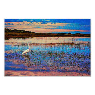 Great Egret Fotodruck