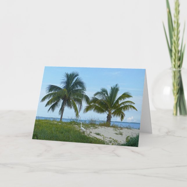 Great Egret, Great Abaco Island, Bahamas Card Karte (Vorderseite)