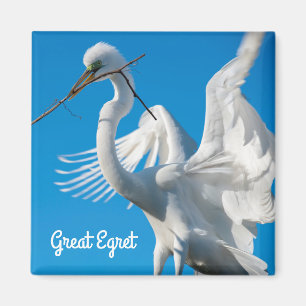 Great Egret Magnet