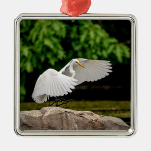 Great Egret Silbernes Ornament