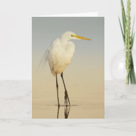Great Egret Walking Grußkarte Karte