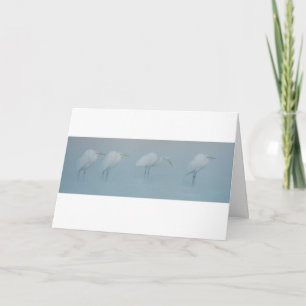 Great Egrets in the Mist
