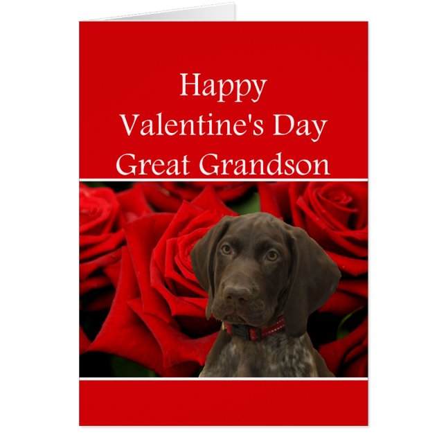 Great Grand-fils Glossy Grizzly Valentine Puppy Lo (Devant)