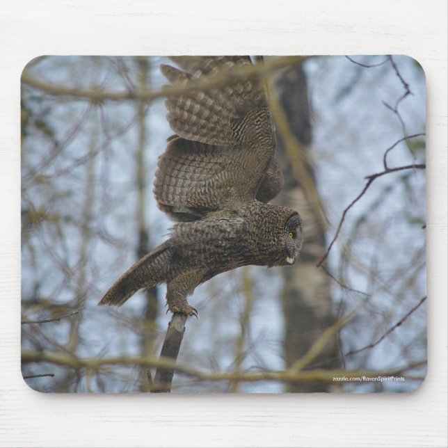 Great Gray Owl Launen im Forest Wildlife Foto Mousepad (Vorne)