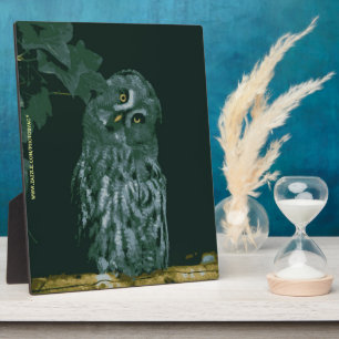 Great Gray Owl Plaque Fotoplatte