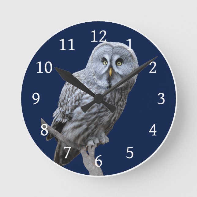 Great Gray Owl Runde Wanduhr (Vorderseite)