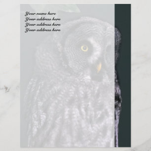 Great Grey Owl Briefkopfvorlage Briefbogen