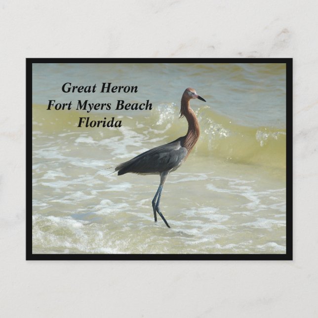 Great Heron Holiday Postcard Feiertagspostkarte (Vorderseite)