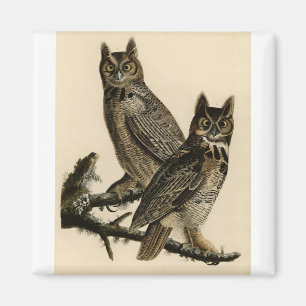 Great Horned Owl Birds America John James Audubon Magnet