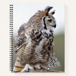 Great Horned Owl Foto 8x11 Notebook Notizbuch