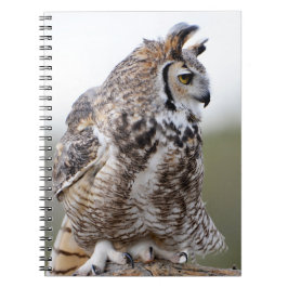Great Horned Owl Foto 9x6 Notebook Notizblock