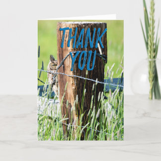 Great Horned Owl Foto Danke Karte