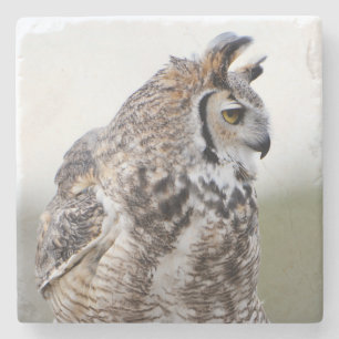 Great Horned Owl Foto Untersetzer