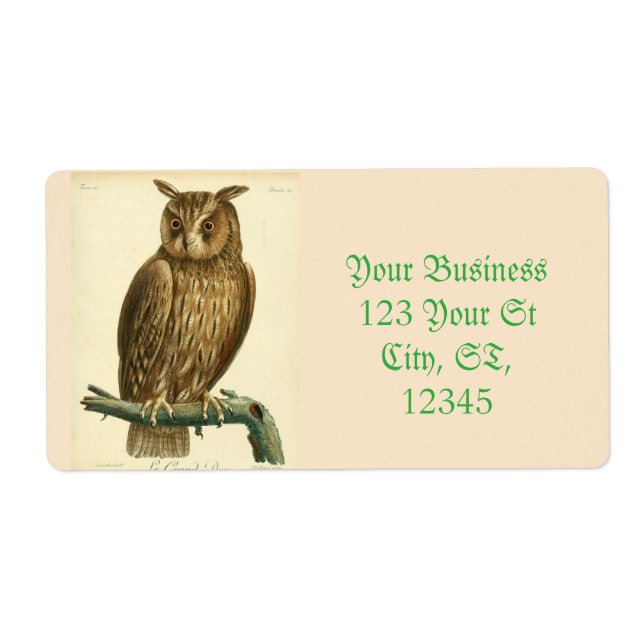 Great Horned Owl Thunder_Cove (Vorne)