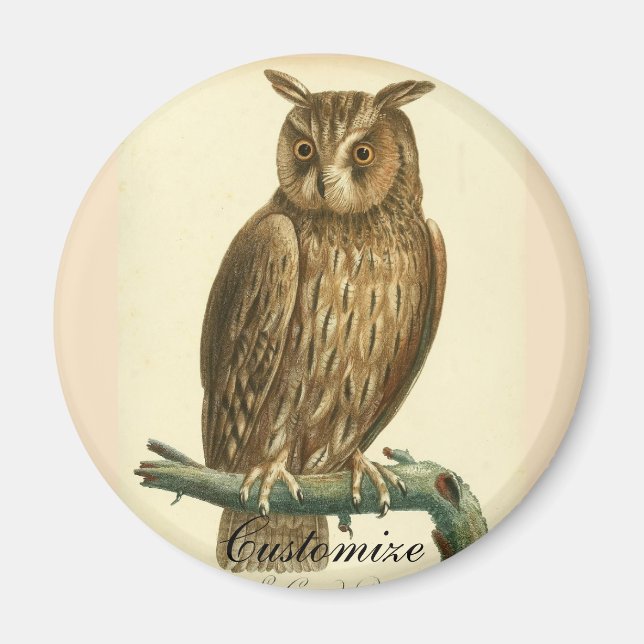 Great Horned Owl Thunder_Cove Magnet (Vorne)