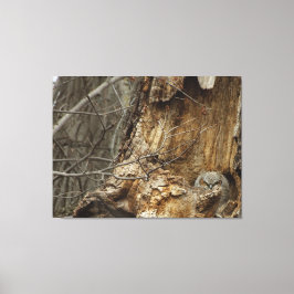 Great Horned Owlet - Wildlife Fotografy Leinwanddruck