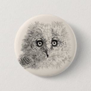 Great Horned Owlet Zeichnend Button