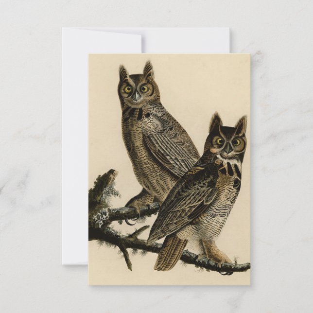 Great Horned Owls (J.J. Audubon) Karte (Vorderseite)