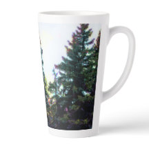 Great North Woods Boreal Forest Canada Pine Trees