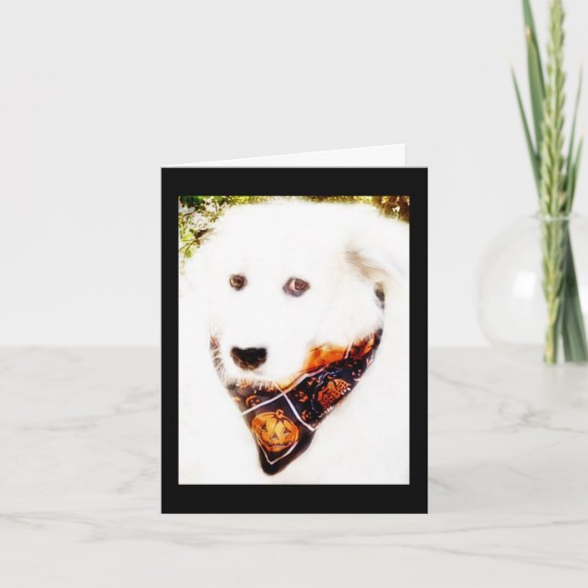 Great Pyr Halloween Card Karte (Vorderseite)