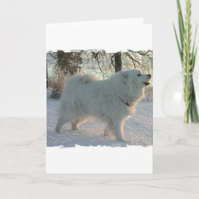 Great Pyrenäen Dog Grußkarte Karte (Vorderseite)