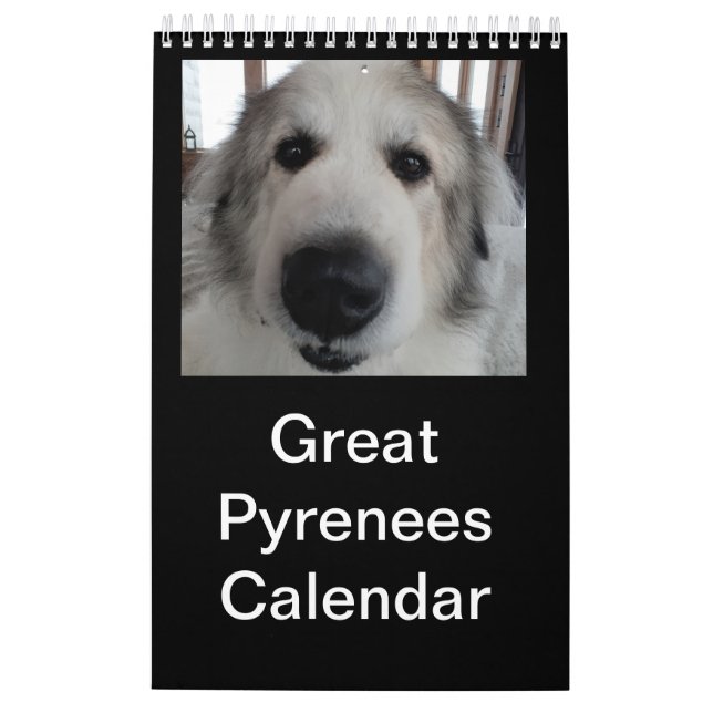Great Pyrenäen Kalender (Rückseite)