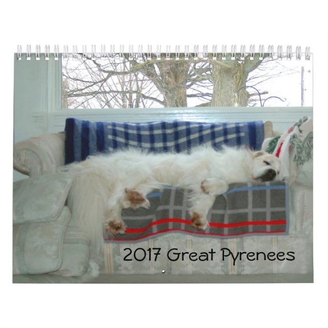 Great Pyrenäen Kalender (Titelbild)